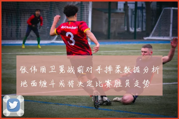 张伟丽卫冕战前对手摔柔数据分析地面缠斗或将决定比赛胜负走势